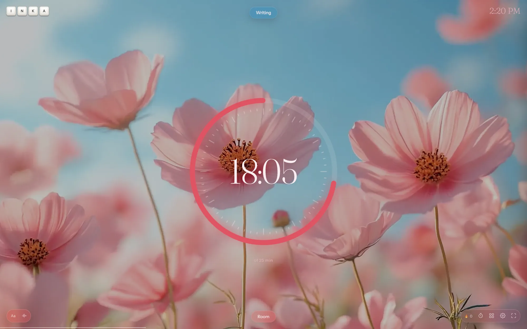 A ring timer at 18:05 over pink cosmos flowers