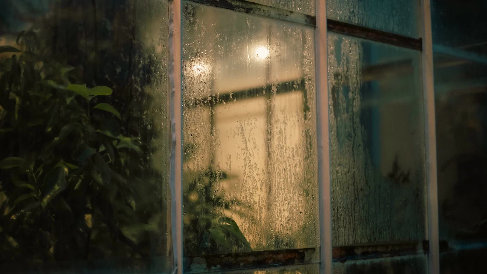 Rain on the panes of a glasshouse at night, a warm light inside