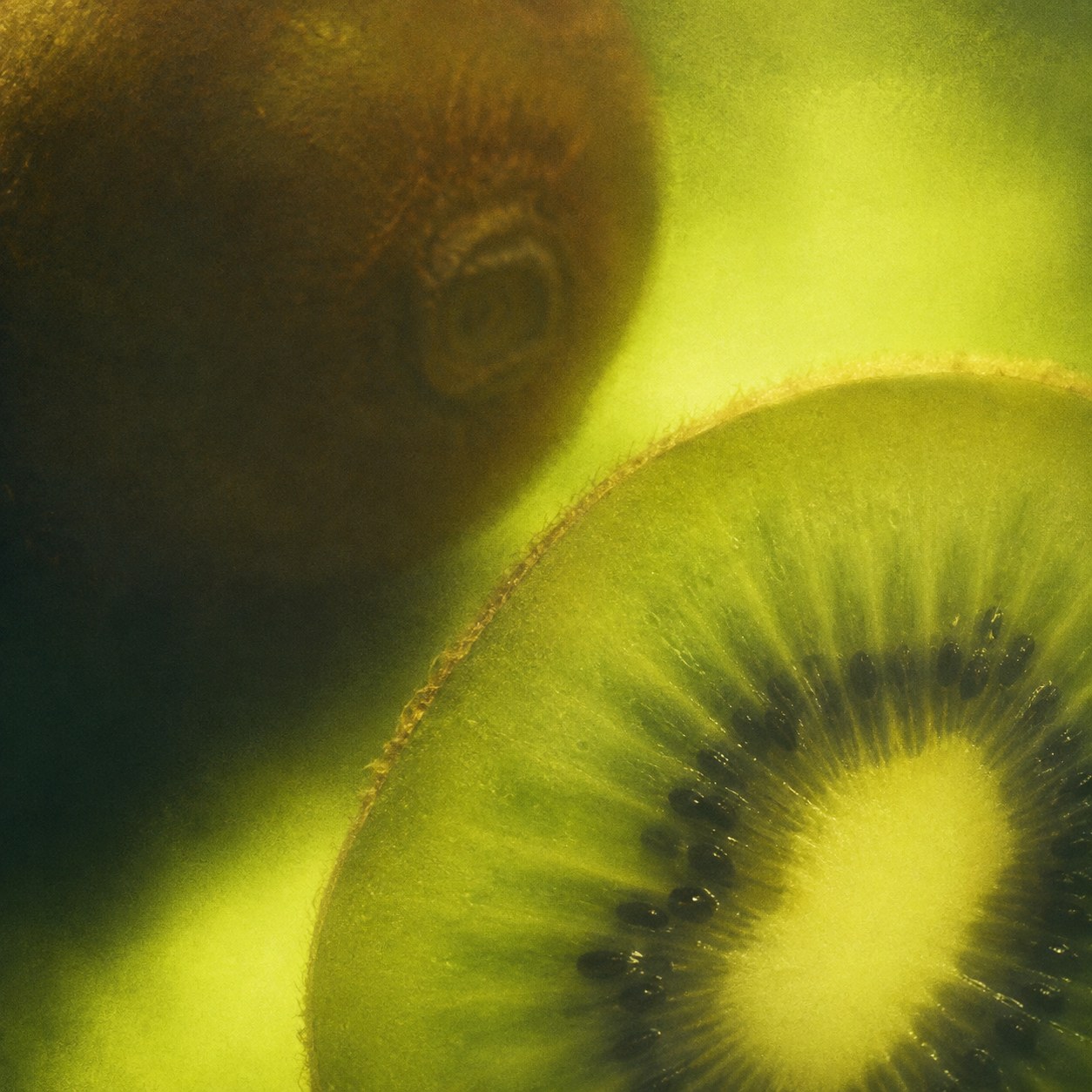 A slice of kiwi, close up