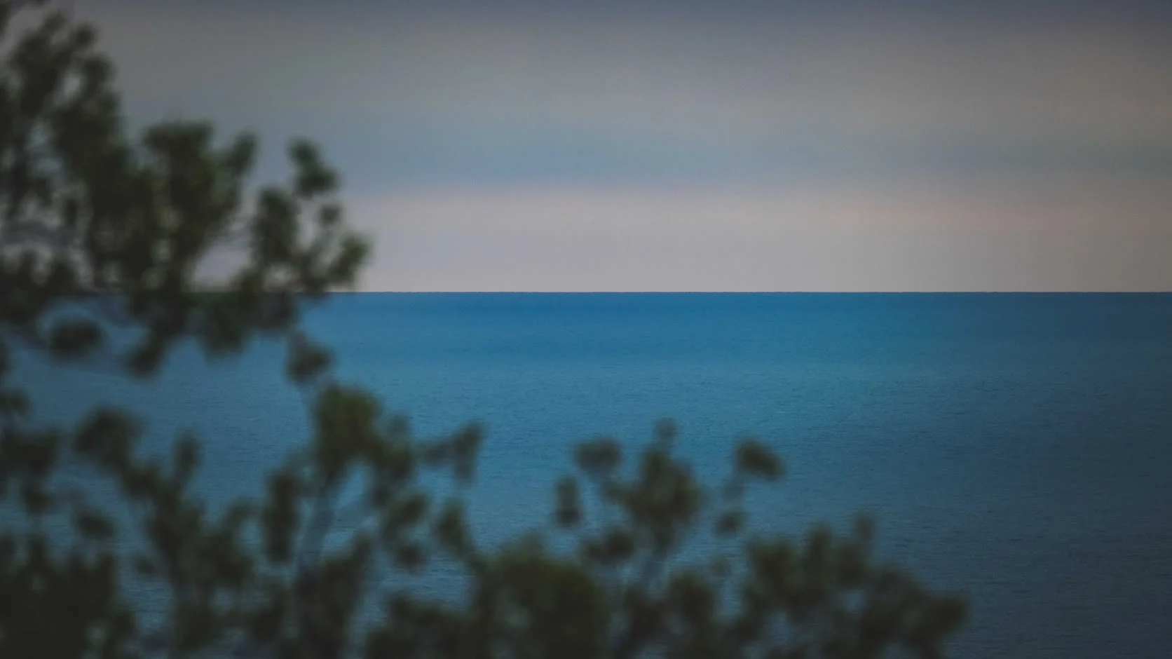 Blurred leaves over a blue sea and a pale sky