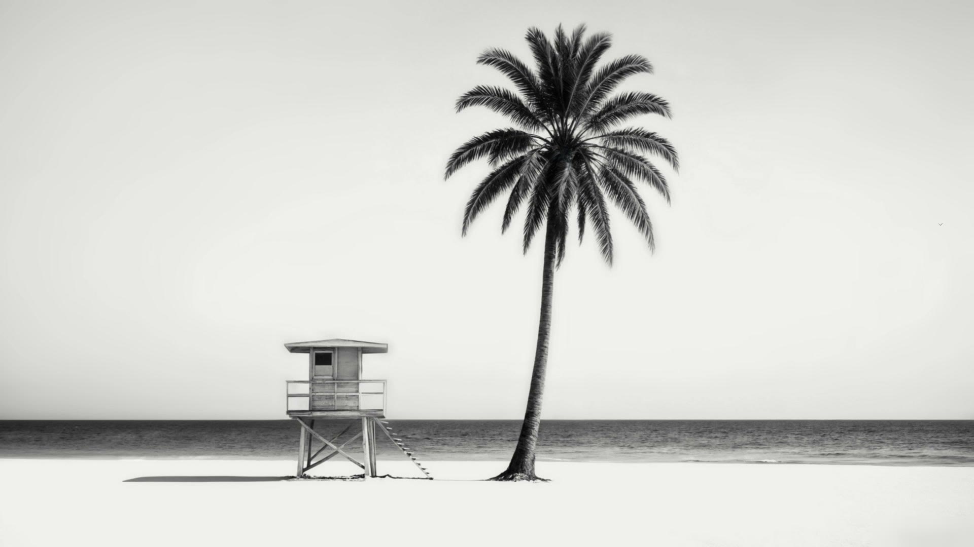 A single palm and a lifeguard hut on a white beach, in black and white
